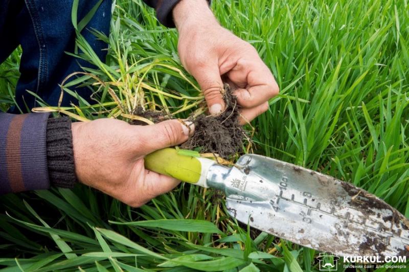  Статус фермерського господарства не закріплюватимуть у Конституції