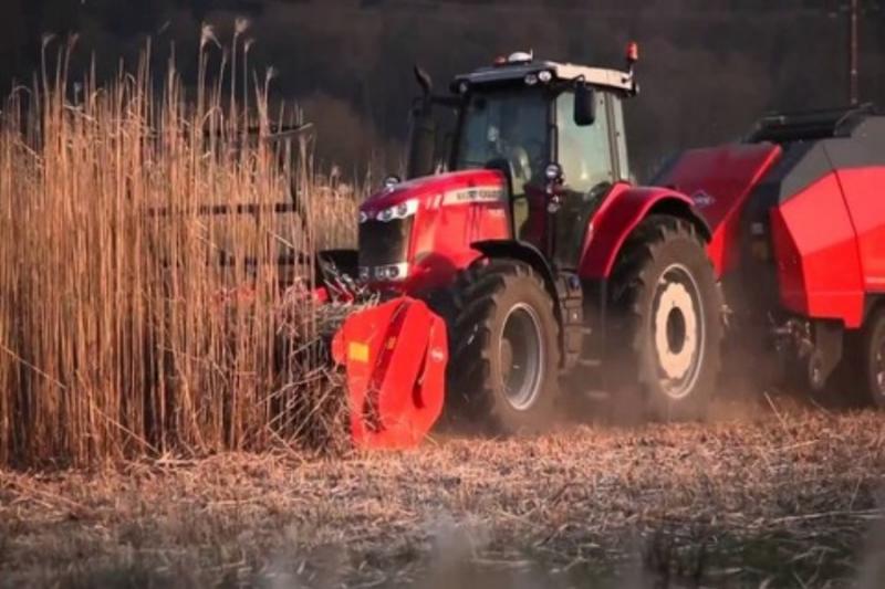 Фермерам порадили, як комбайнувати міскантус