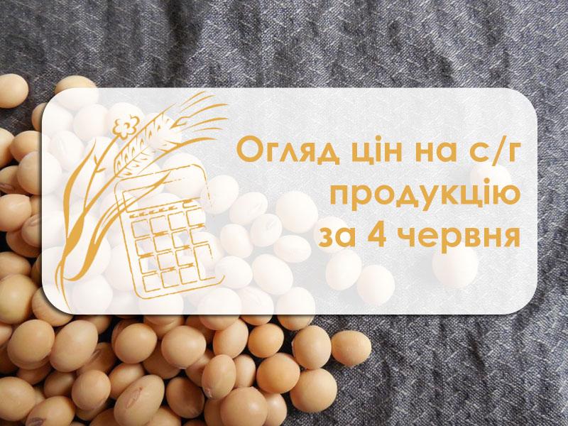 Кукурудза зросла в ціні — огляд цін на с/г продукцію за 4 червня