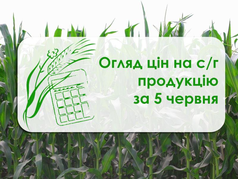 У порту Миколаївської області подорожчала соя — огляд цін на с/г продукцію за 5 червня