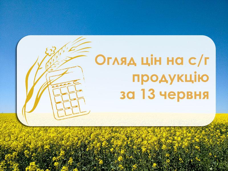 Соя та пшениця 2 класу подорожчали — огляд цін на с/г продукцію за 13 червня