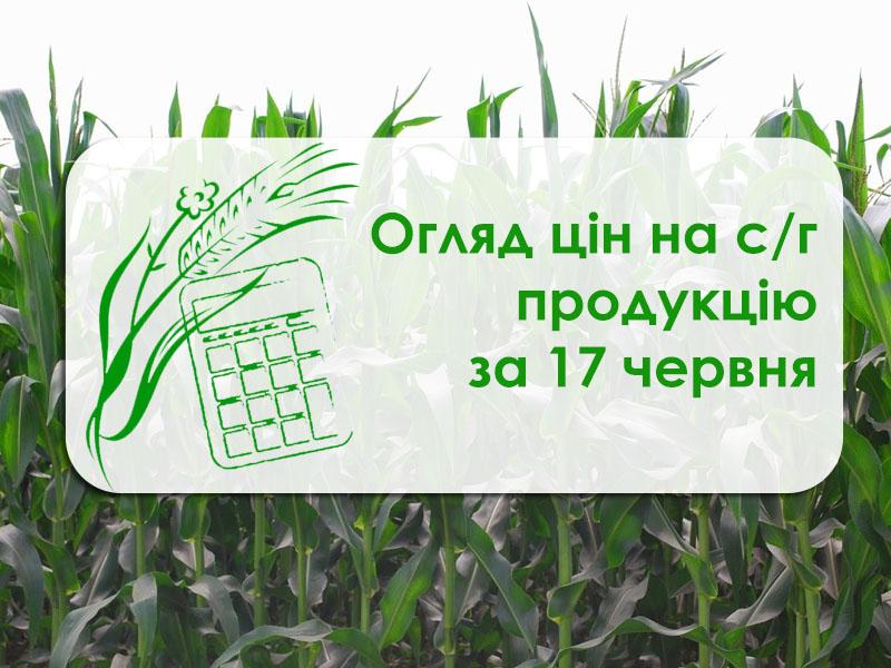 Як змінилися ціни на зернові та олійні — огляд цін на с/г продукцію за 17 червня