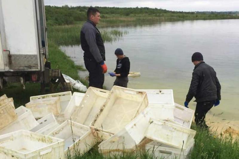 На Львівщині у кар’єр викинули свинячі рештки