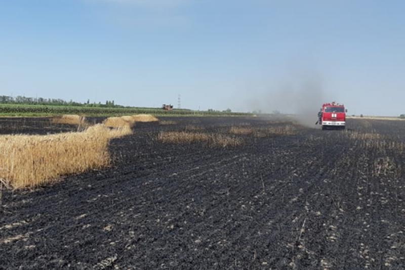 На Миколаївщині та Одещині поля охопив вогонь