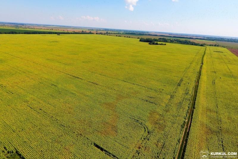 На Запоріжжі фермер самовільно засіяв державні поля