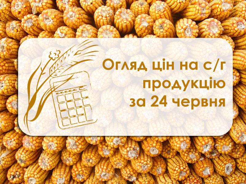 Огляд цін на с/г продукцію за 24 червня