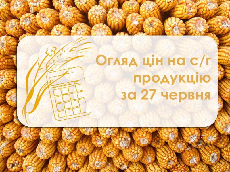 Кукурудза та ріпак подорожчали — огляд цін на с/г продукцію за 27 червня 