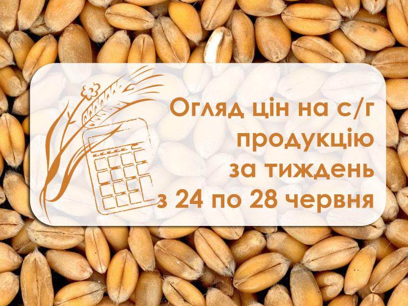 Огляд цін на с/г продукцію за тиждень з 24 по 28 червня