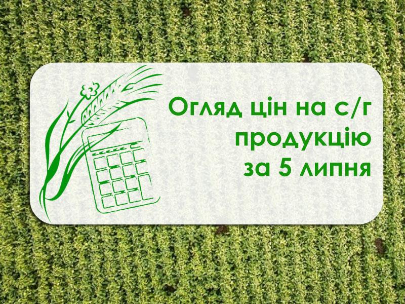 Пшениця, ячмінь та ріпак подешевшали — огляд цін на с/г продукцію за 5 липня 