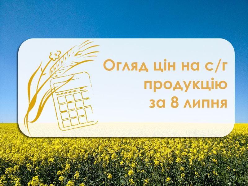 Вартість ріпаку зросла — огляд цін на с/г продукцію за 8 липня 