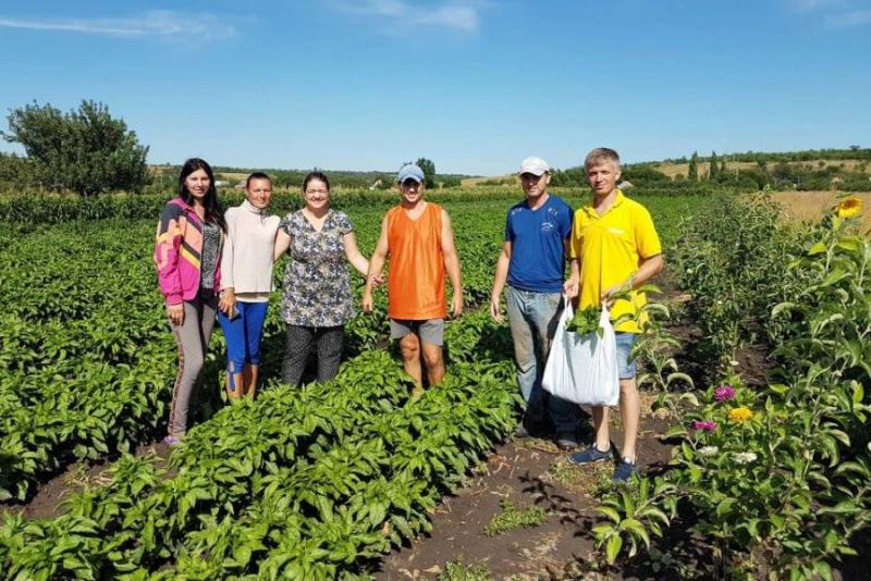 Виробники перцю вирішили проблеми збуту, об’єднавшись у групу