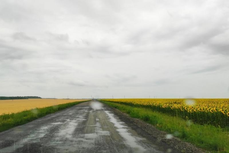 Початок тижня принесе дощі та грози по всій Україні