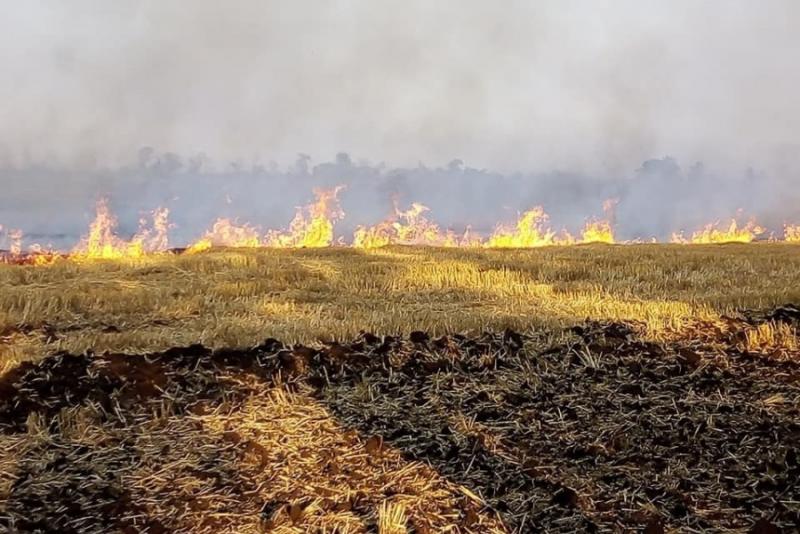 Фермера викрили на підпалі стерні