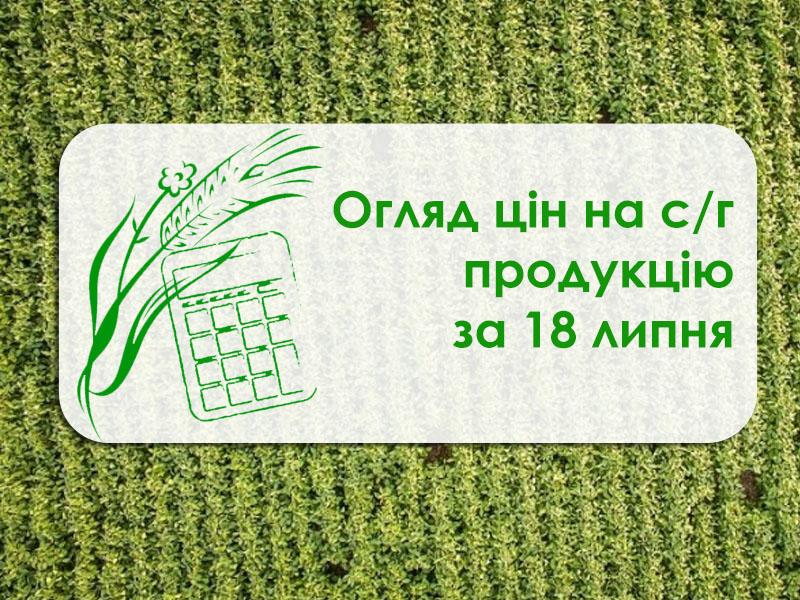 Пшениця та кукурудза подорожчали — огляд цін на с/г продукцію за 18 липня 