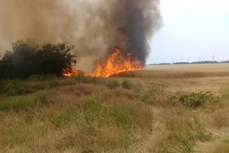 На Харківщині згоріло ячмінне поле