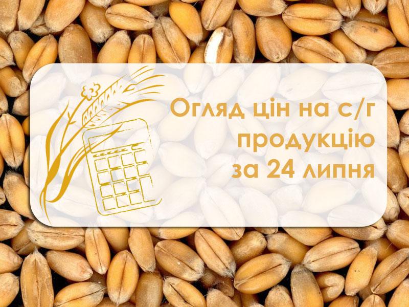 Ціни на зернові та олійні продовжують знижуватись — огляд цін на с/г продукцію за 24 липня 