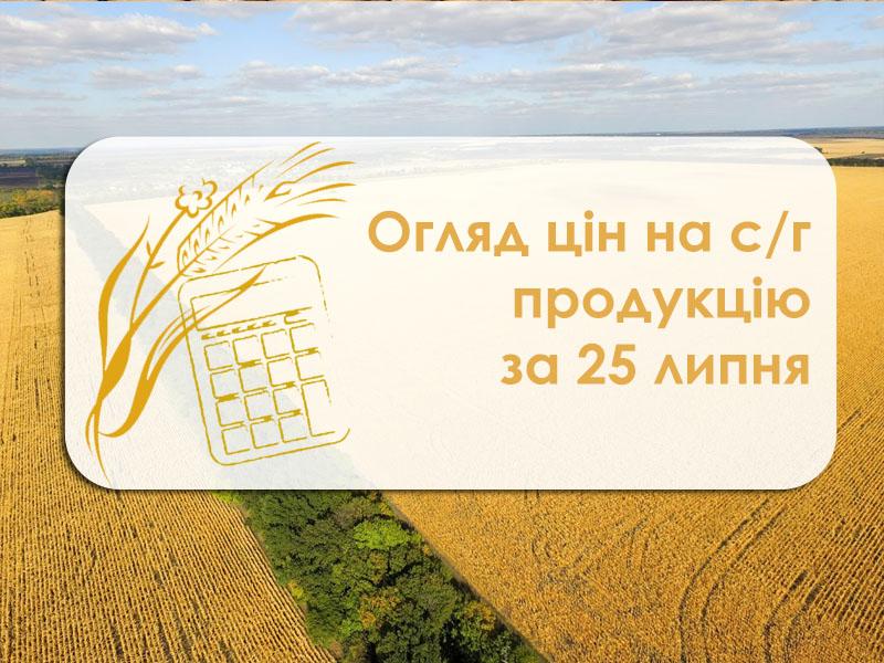 В порту Миколаєва знизилась ціна ячменю та ріпаку — огляд цін на с/г продукцію за 25 липня 