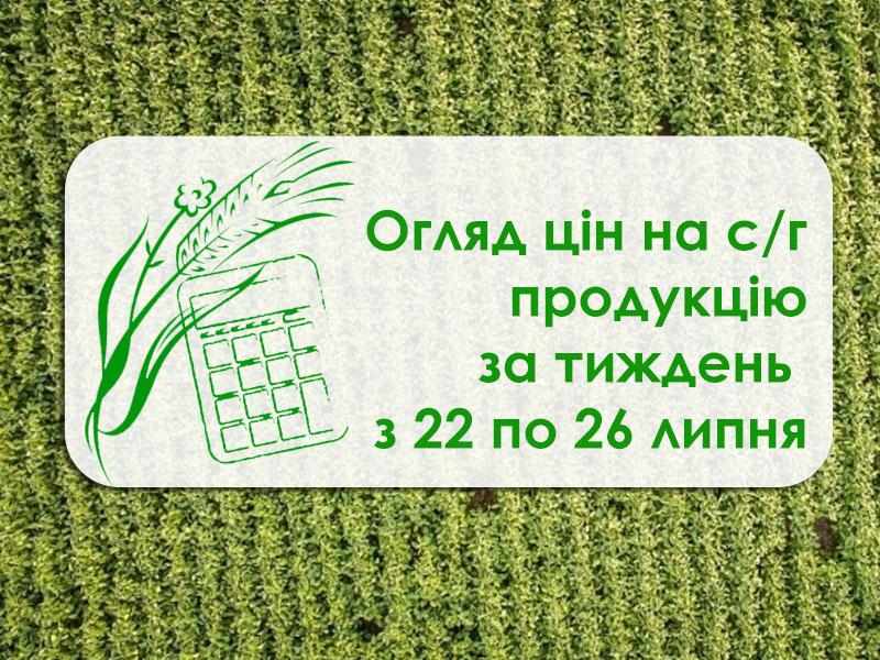 Пшениця та кукурудза подорожчали — огляд цін за тиждень з 22 по 26 липня