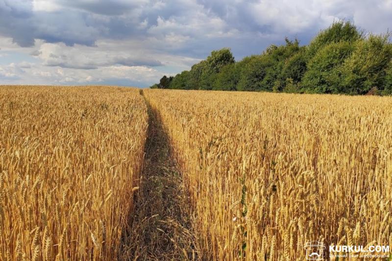 На Буковині холдинг самовільно захопив фермерський урожай