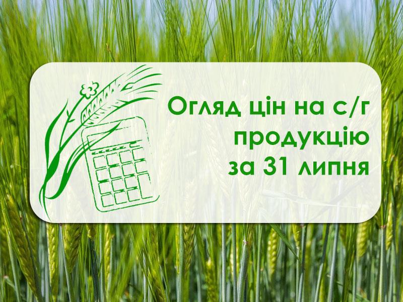 В портах Одещини подешевшав ріпак — огляд цін на с/г продукцію за 31 липня 