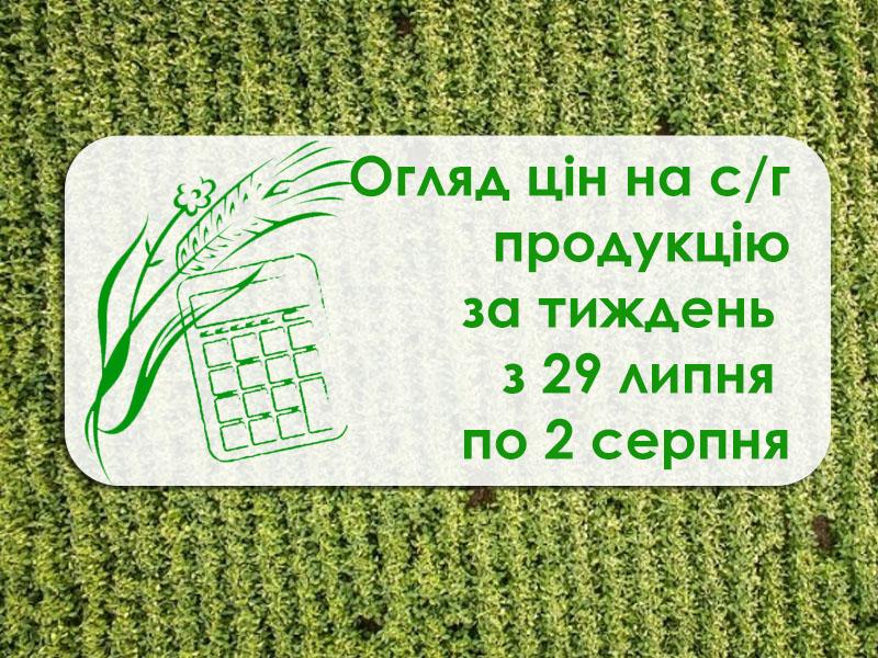 Ріпак, соняшник та пшениця подешевшали — огляд цін за тиждень з 29 липня по 2 серпня