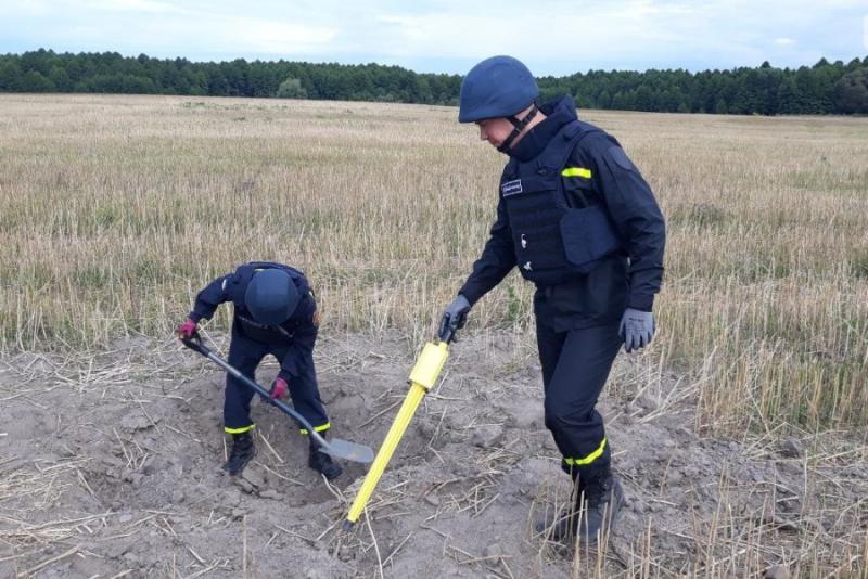 На Житомирщині агроном виявив на полі боєприпаси