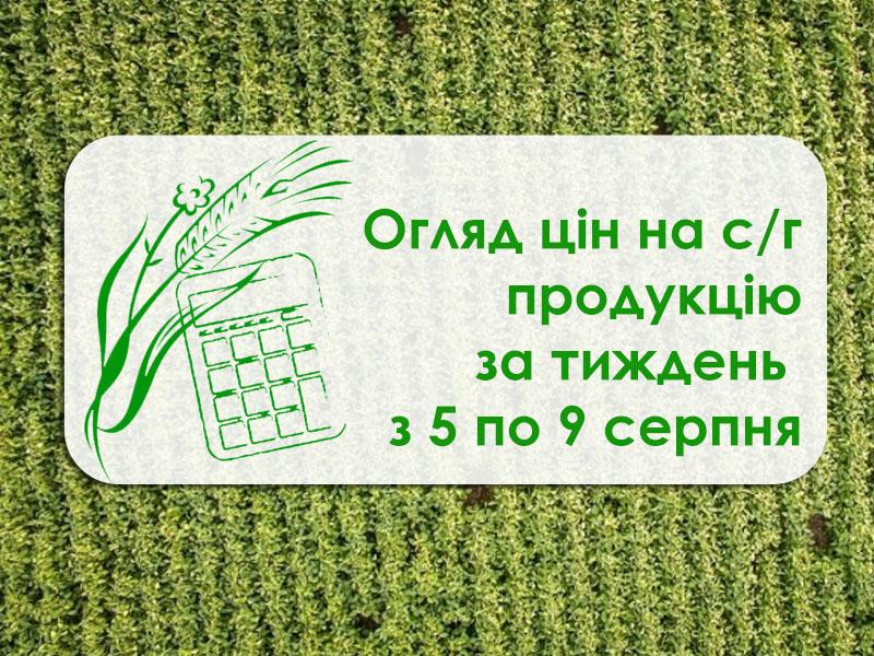 Соняшник подешевшав, ціна ячменю зросла — огляд цін за тиждень з 5 по 9 серпня