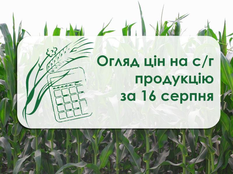 Огляд цін на с/г продукцію за 16 серпня