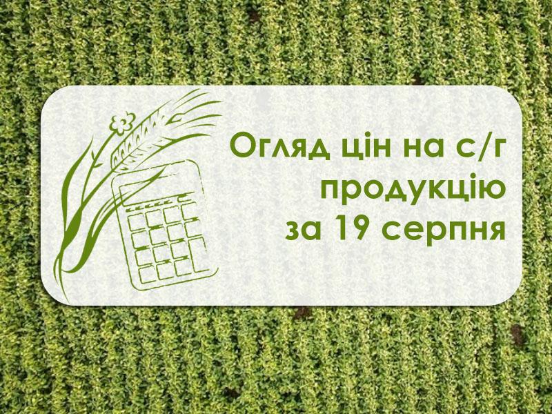 Огляд цін на с/г продукцію за 19 серпня