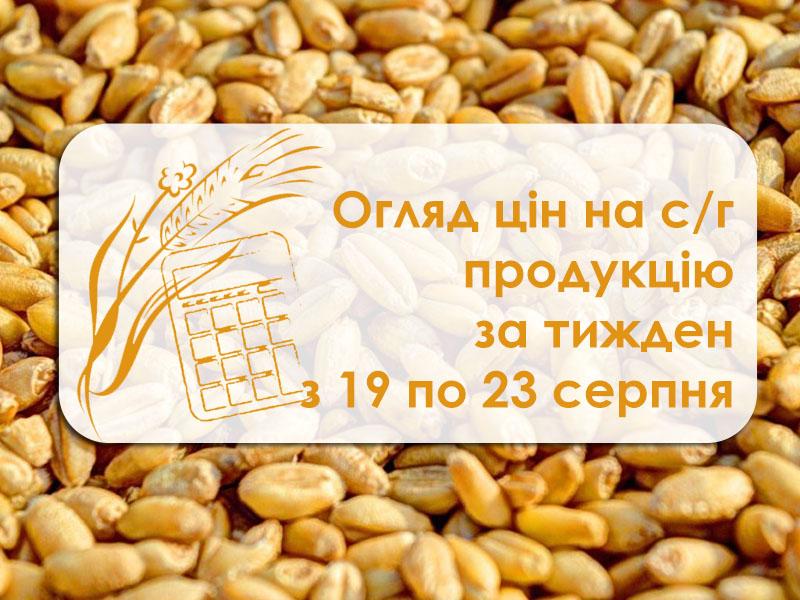 Огляд цін на с/г продукцію за тиждень з 19 по 23 серпня