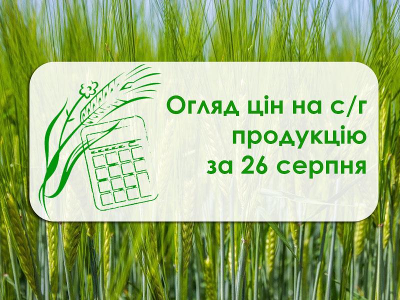 В Україні подешевшав соняшник — огляд цін на с/г продукцію за 26 серпня