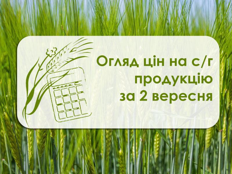 Огляд ціна на с/г продукцію за 2 вересня