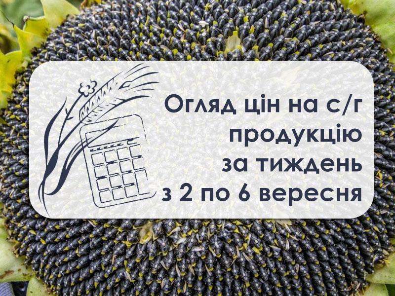 Огляд цін на с/г продукцію за тиждень з 2 по 6 вересня 