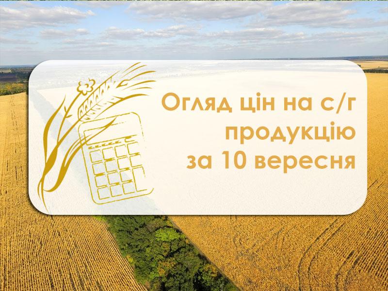 Соняшник подорожчав, ціна ячменю знизилась — огляд цін на с/г продукцію за 10 вересня