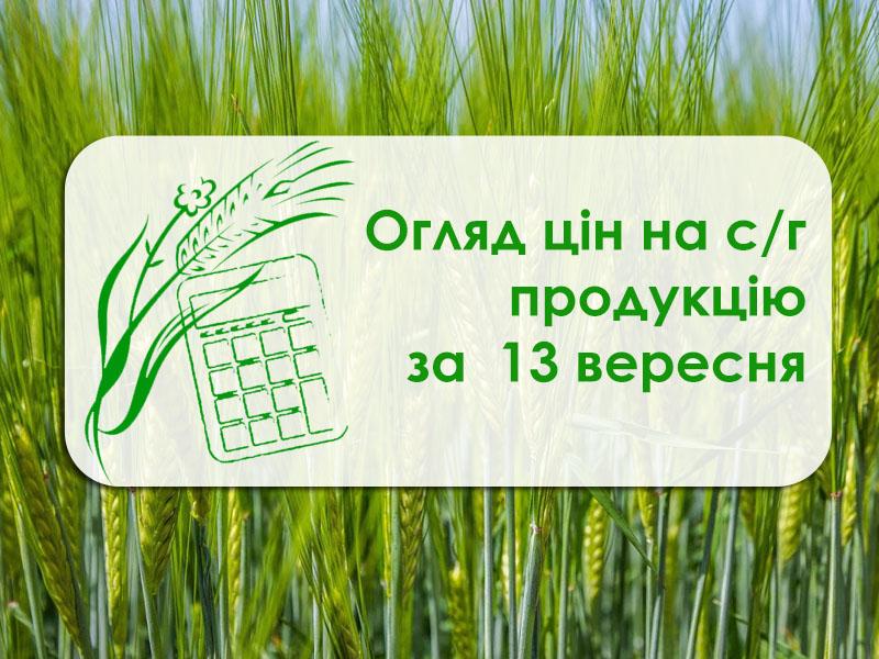 Кукурудза, ячмінь та соняшник подешевшали — огляд цін на с/г продукцію за 13 вересня