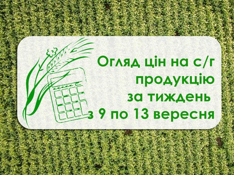  Соняшник, ячмінь та кукурудза подешевшали — як змінилися ціни на с/г продукцію за тиждень з 9 по 13 вересня