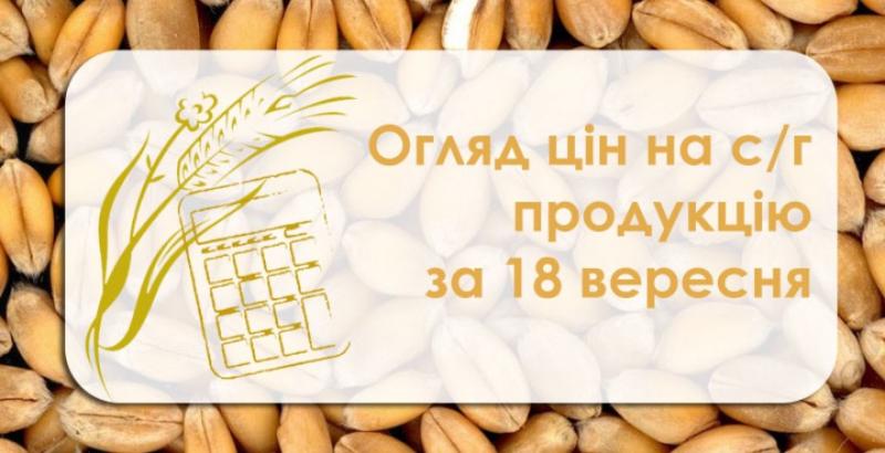 Соняшник, соя та кукурудза продовжують дешевшати — огляд цін на с/г продукцію за 18 вересня