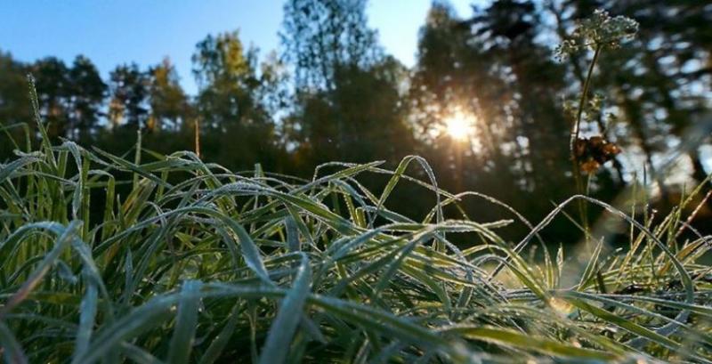 Українців попередили про нічні заморозки