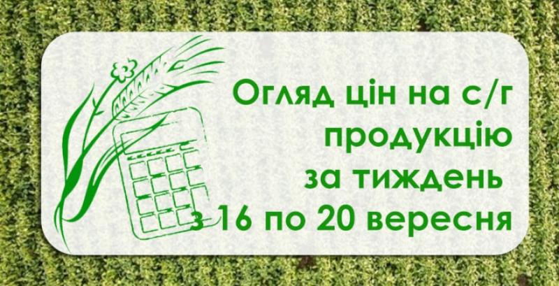 Ячмінь, соняшник, кукурудза — як змінилися ціни на с/г продукцію за тиждень з 16 по 20 вересня