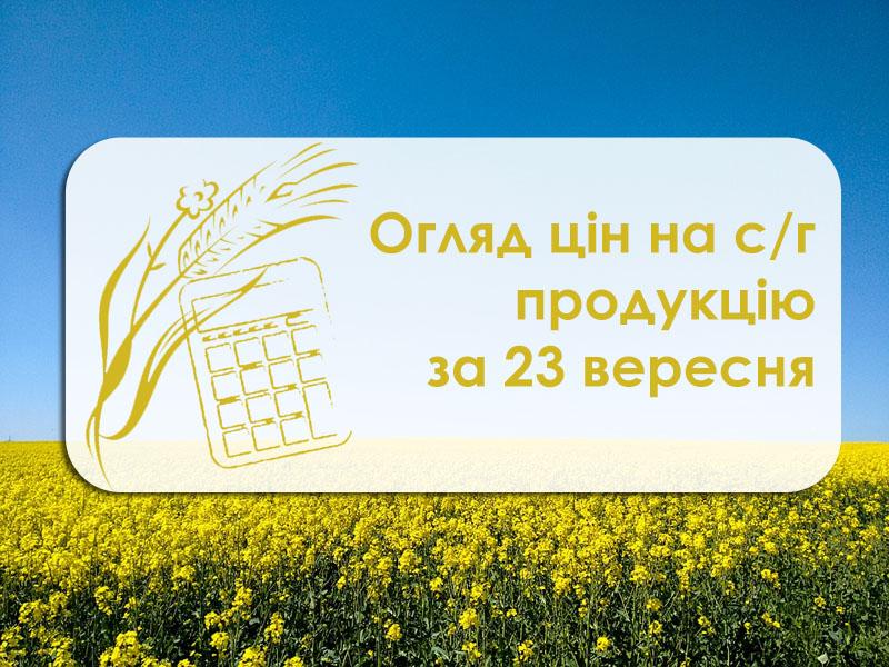 В Україні змінилася ціна соняшнику та сої — огляд за 23 вересня