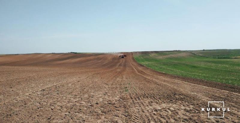 На Дніпропетровщині через посуху не зійшов ріпак