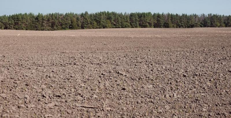 У більшості областей запаси вологи у грунті недостатні для сходів озимих