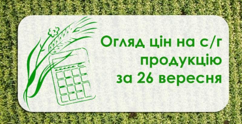 Соя, соняшник та ячмінь подешевшали — огляд цін на с/г продукцію за 26 вересня