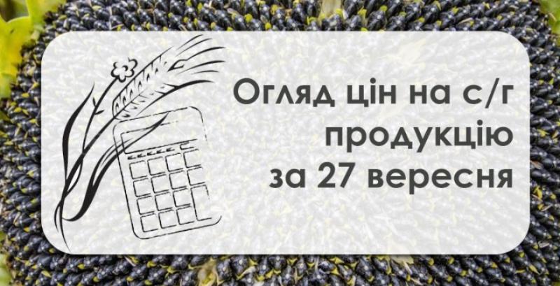 Пшениця та ячмінь подешевшали — огляд цін на с/г продукцію за 27 вересня