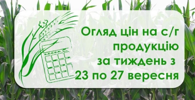 Ріпак, соняшник, ячмінь — як змінилися ціни на с/г продукцію за тиждень з 23 по 27 вересня