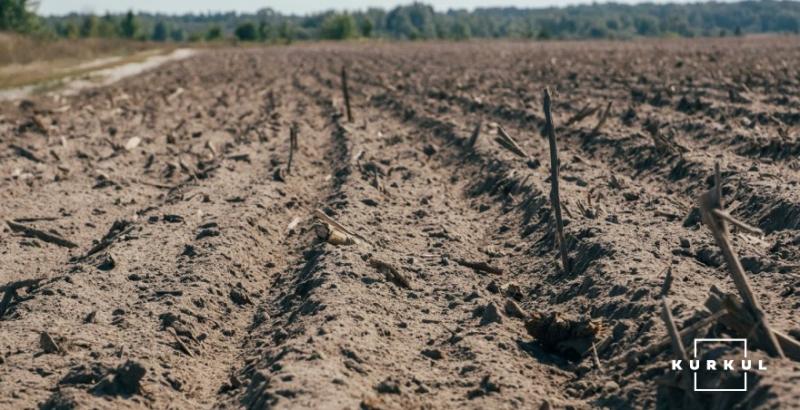 Уряд ухвалив розпорядження щодо фінансування дешевих кредитів для купівлі землі