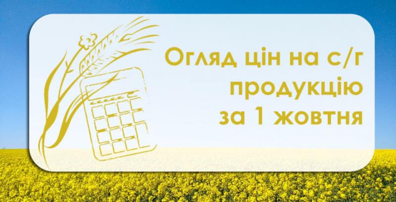 Пшениця, кукурудза та ячмінь подешевшали — огляд цін на с/г продукцію за 1 жовтня