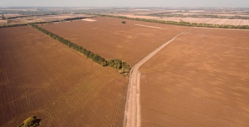 Україна не використала свого потенціалу за час дії земельного мораторію — Радченко