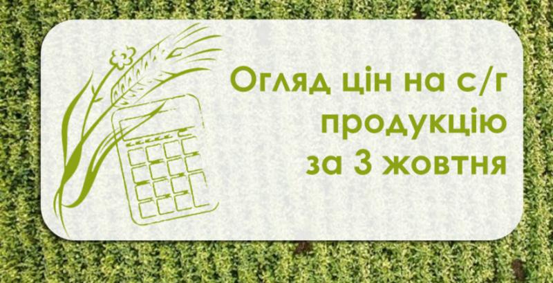 Змінилися ціни на пшеницю, кукурудзу та соняшник — огляд цін на с/г продукцію за 3 жовтня