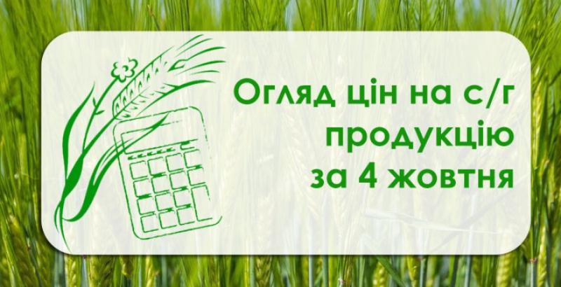 Ріпак і соняшник подорожчали — огляд цін на с/г продукцію за 4 жовтня